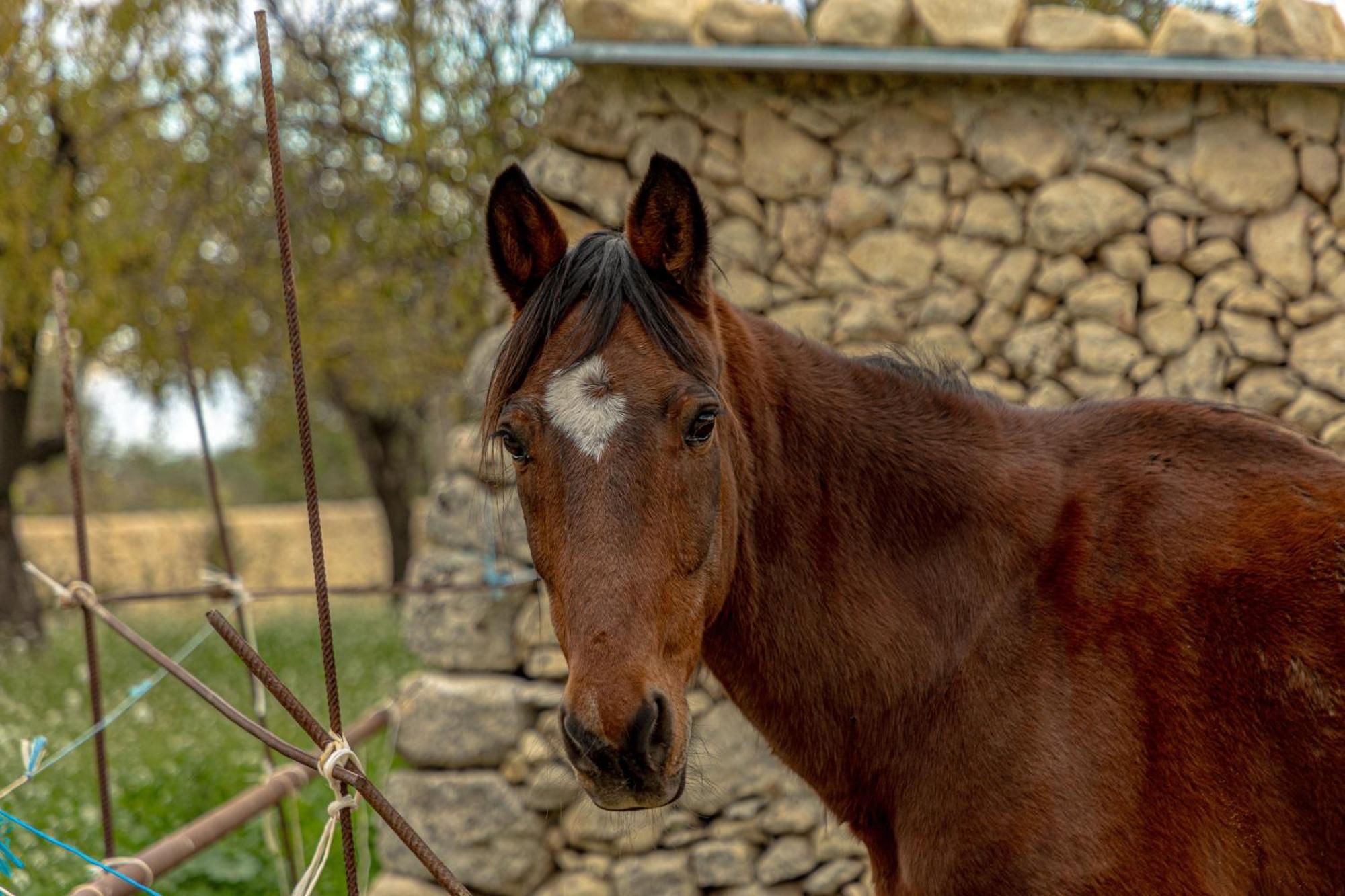 Masseria Usamborgia Noto Exterior photo